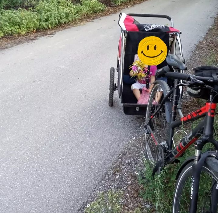 Przyczepka rowerowa używana