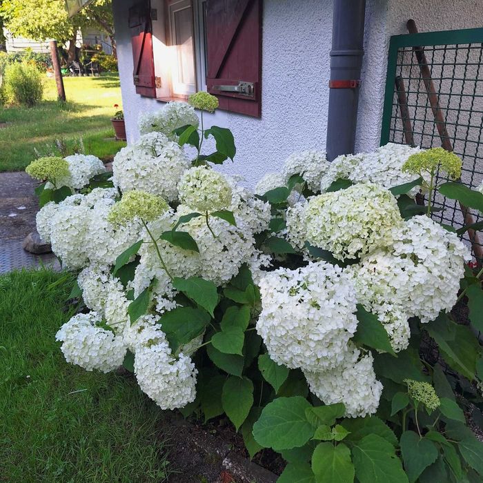 Zapraszamy do super wypoczynku. Turkusowy domek. Lubniewice