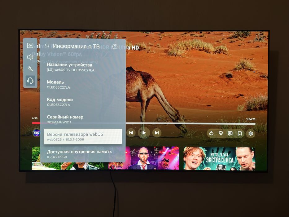 Телевизор LG C2 (OLED 55 C27 LA). Полная комплектация