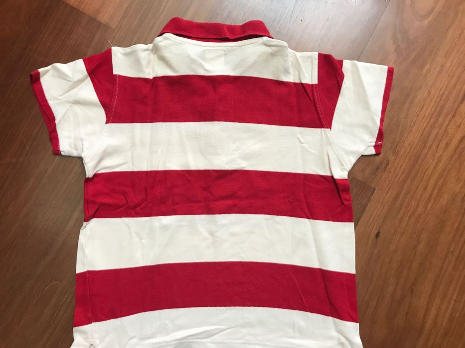 Polo de rapaz tam 10 anos da Zippy