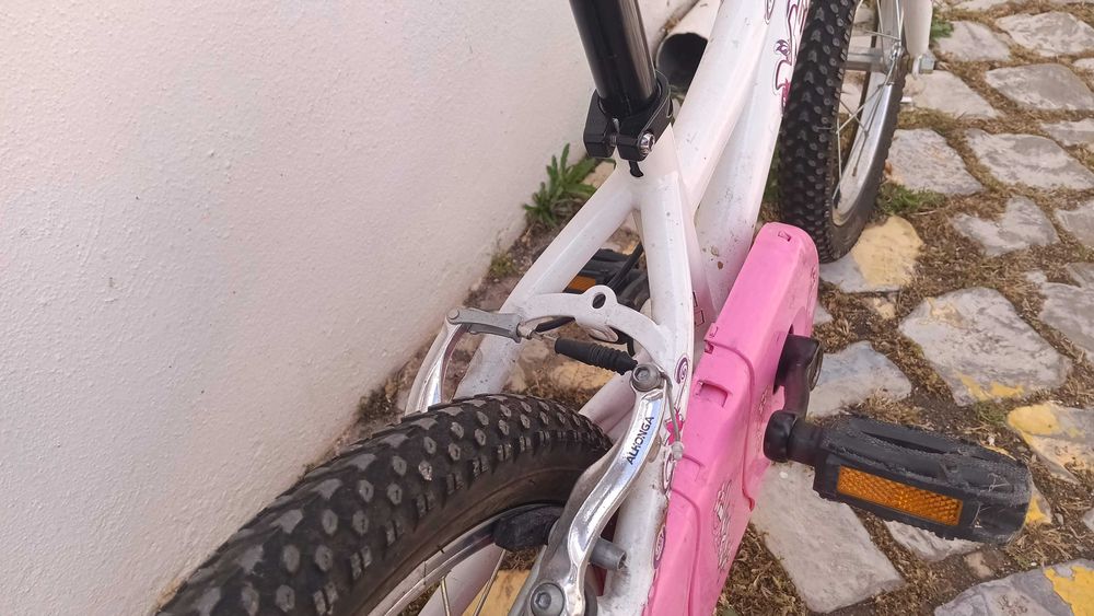 Bicicleta Criança (4-6 anos)
