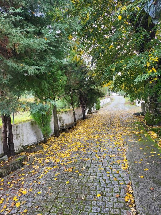 Quinta do Malhô - Férias