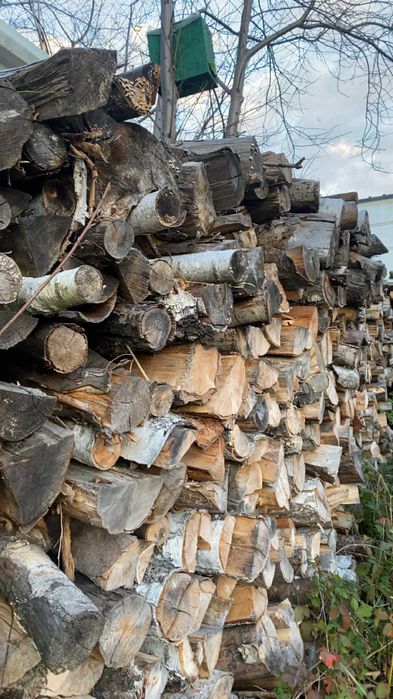 Drewno kominkowe brzoza suche