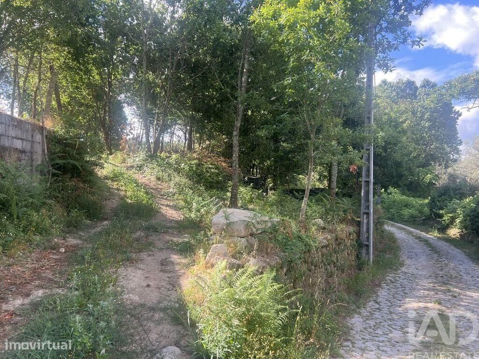 Terreno para construção em Carvalhais e Candal