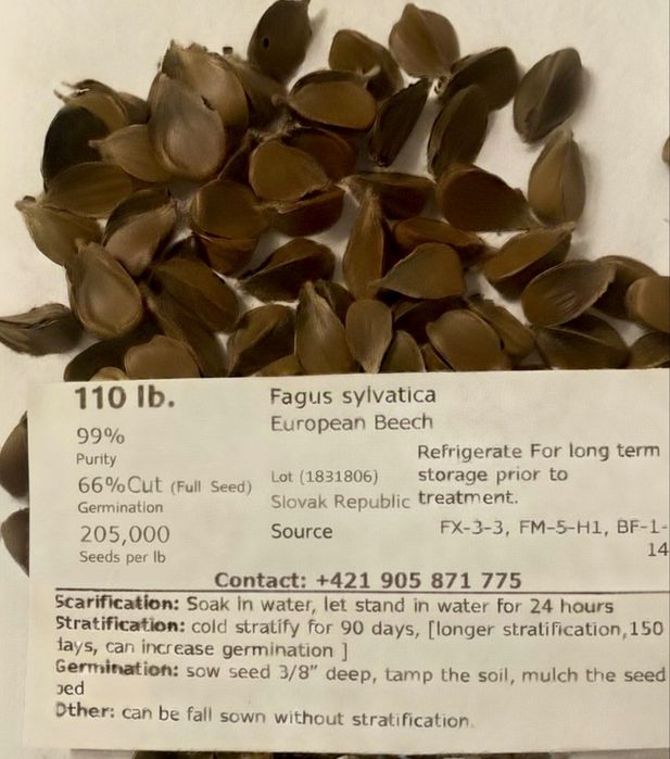 premia nasiona buka - buk