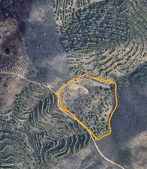 Terreno  para venda