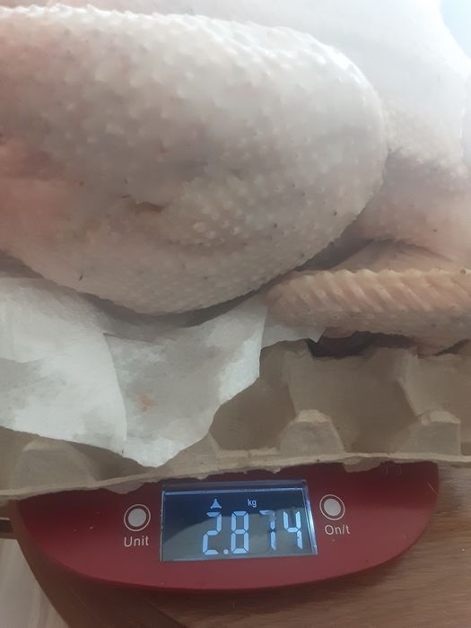 Kogut mięsny duży na rosół