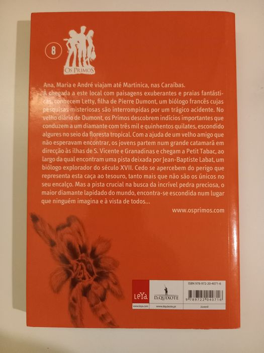 Livro- O diamante na ilha das Caraíbas de Mafalda Moutinho