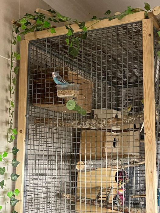 Vendo Gaiola / Viveiro Forte para Pássaros Grandes