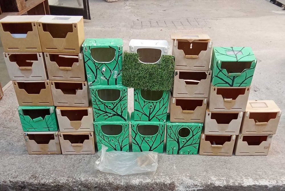 Ninhos para criação de exóticos
