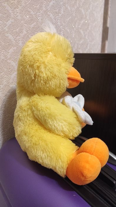 М'яка іграшка, уточка, плюшева іграшка, каченя