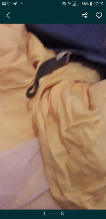 Намет палатка двохшарова з верандою із 100%  коттону 4ох особова