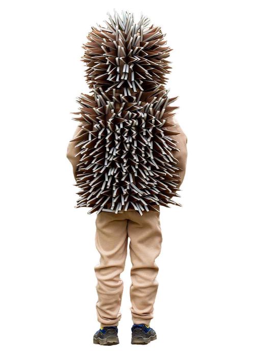 Костюм їжачка прокат