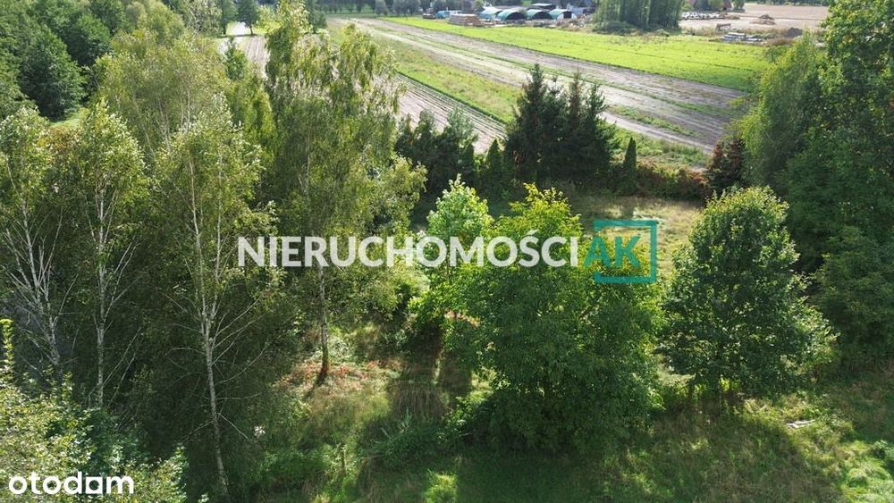 Glinno | Działka 1605 m² | Nowy Tomyśl - Widok 5