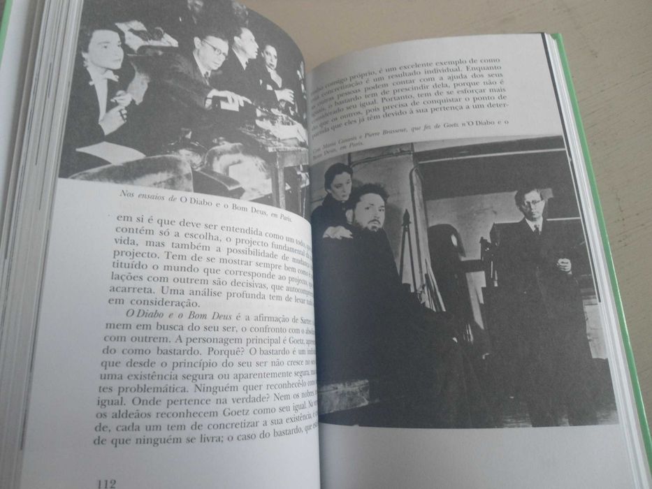 Sartre por Walter Biemel