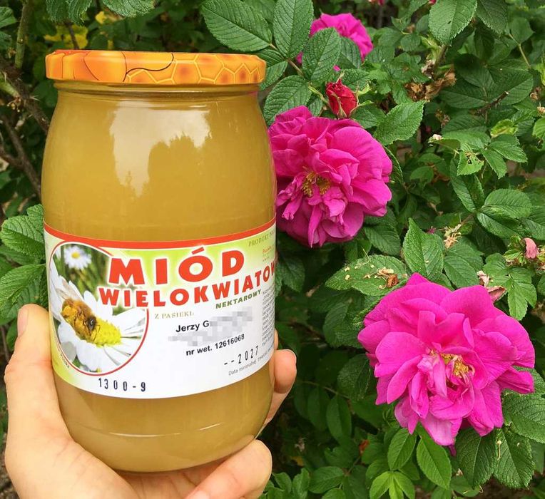 Zestaw miodów 3x akacjowy wielokwiat spadziowo-nektar infekcje dzieci
