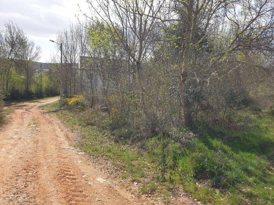 Terreno em Maçaira, Vinhas
