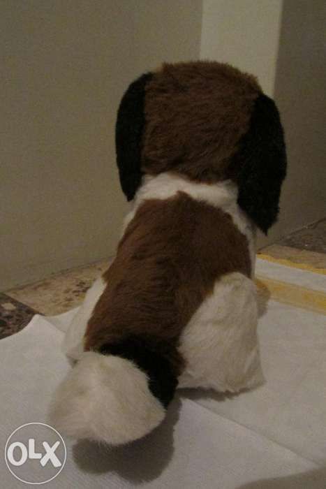 Peluche cão São Bernardo
