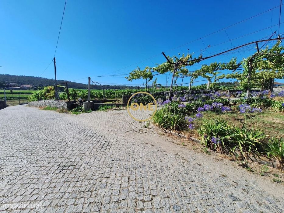 2.5-Hectare Plot with Agricultural Production
