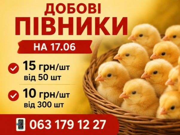 Петушки Ломан Браун півники добові курчата
