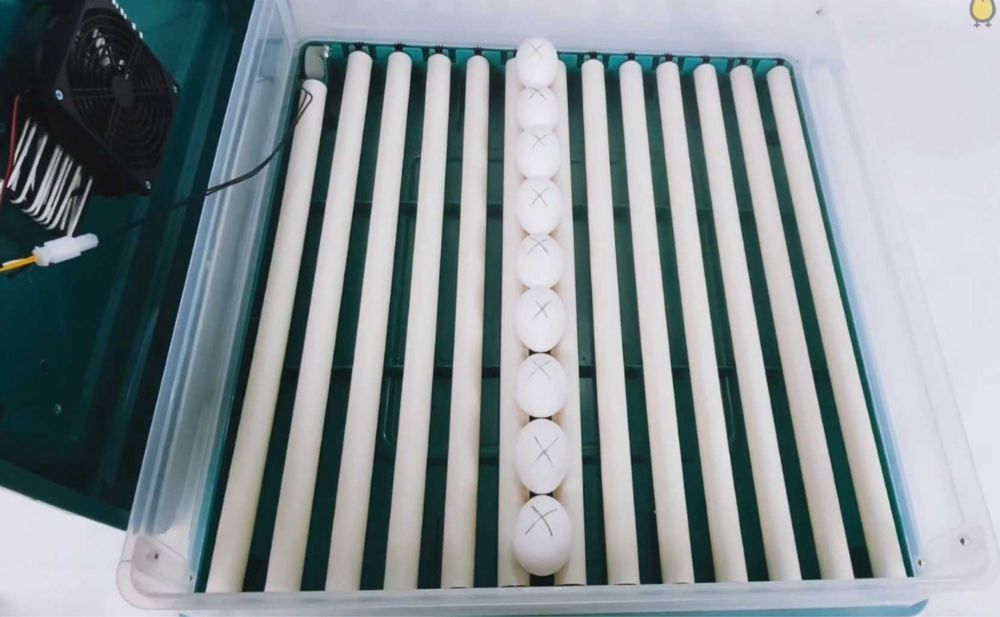 РОЗПРОДАЖ‼️ Инкубатор автоматический 12-220В Птаха Інкубатор + овоскоп