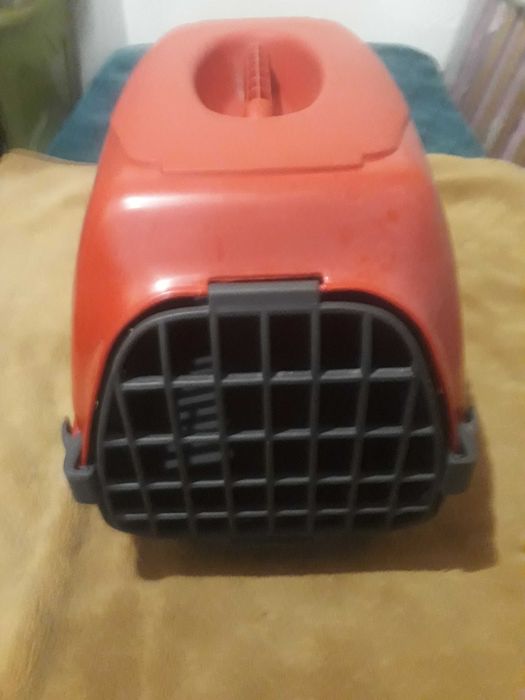 Pequena cesta de gato