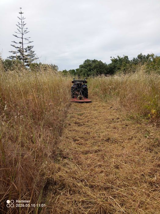 Serviços agrícolas/Agricultural services, land clearing