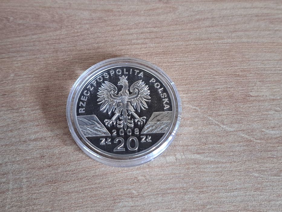 Moneta 20 zł - Sokół wędrowny NBP 2008