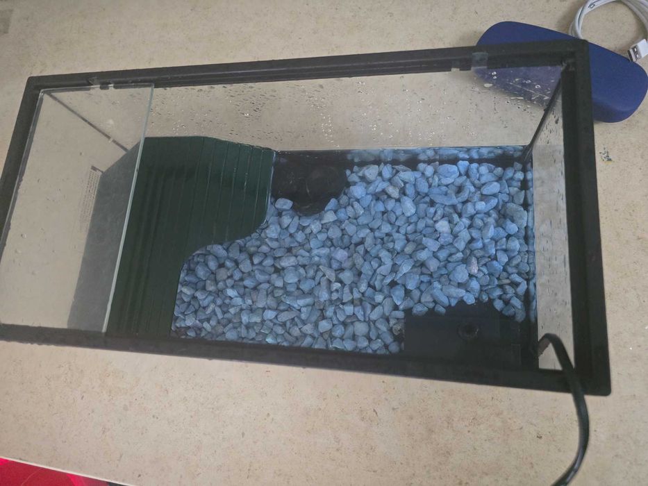 Aquario terrario tartaruga