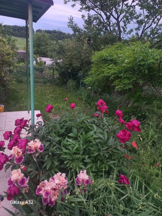 Продам дачу за Васильковом.