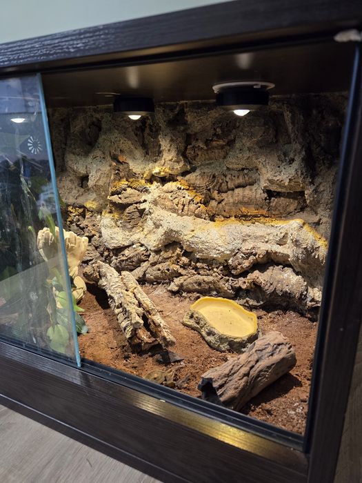 Terrarium 60x40x40