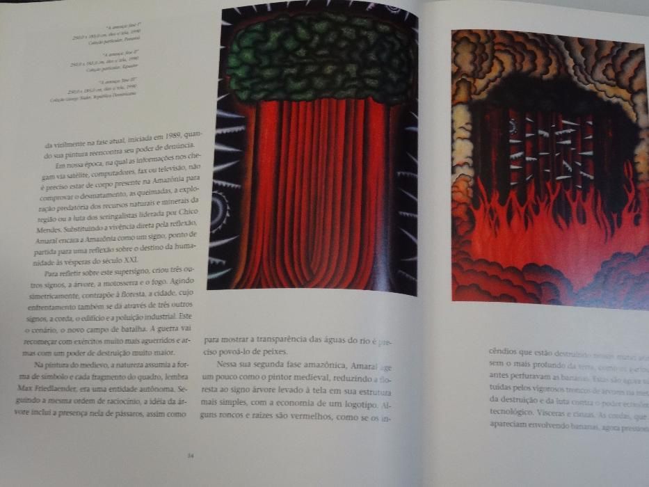 Obra Em Processo Antonio Henrique Amaral