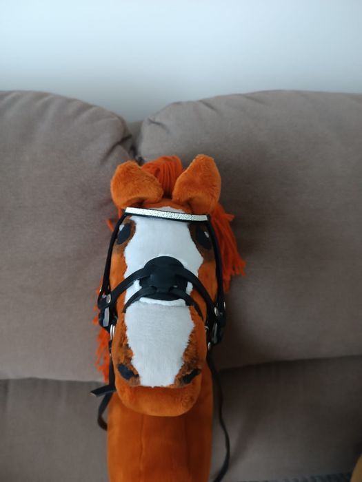 Hobby Horse, rudy A3