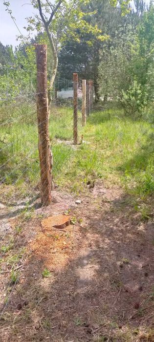 19zł.Ogrodzenie z Siatki Leśnej, usługi rębakiem, wycinka drzew