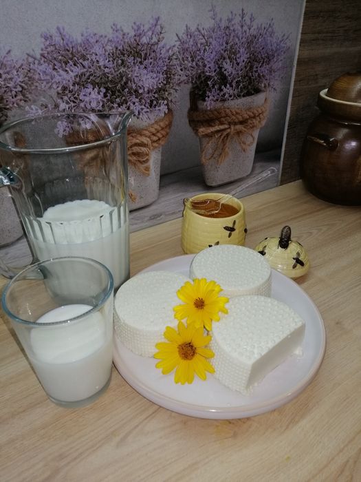Mleko kozie i sery podpuszczkowe