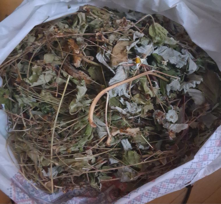 Продам сушені лікарські рослини