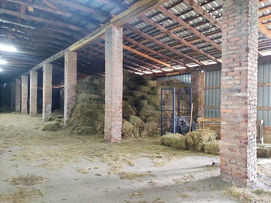 Продаж ферми. Траса Київ Рівне. Житомир. Можна під виробництво.