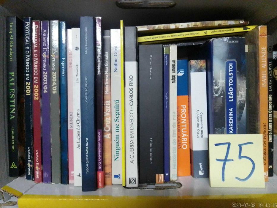 LOTE 74 + 75 - LIVROS Diversos - Vendidos EM SEPARADO - Preços Vários