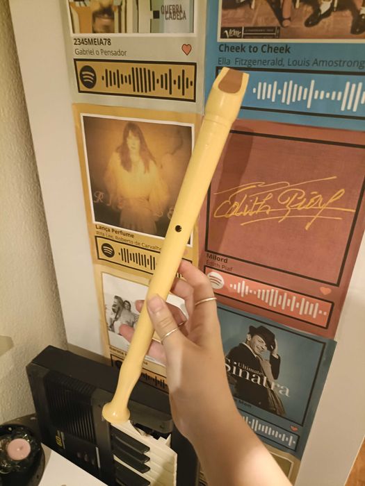 Flauta Doce Hohner "Melody" (Com Bolsa Original) – Como Nova