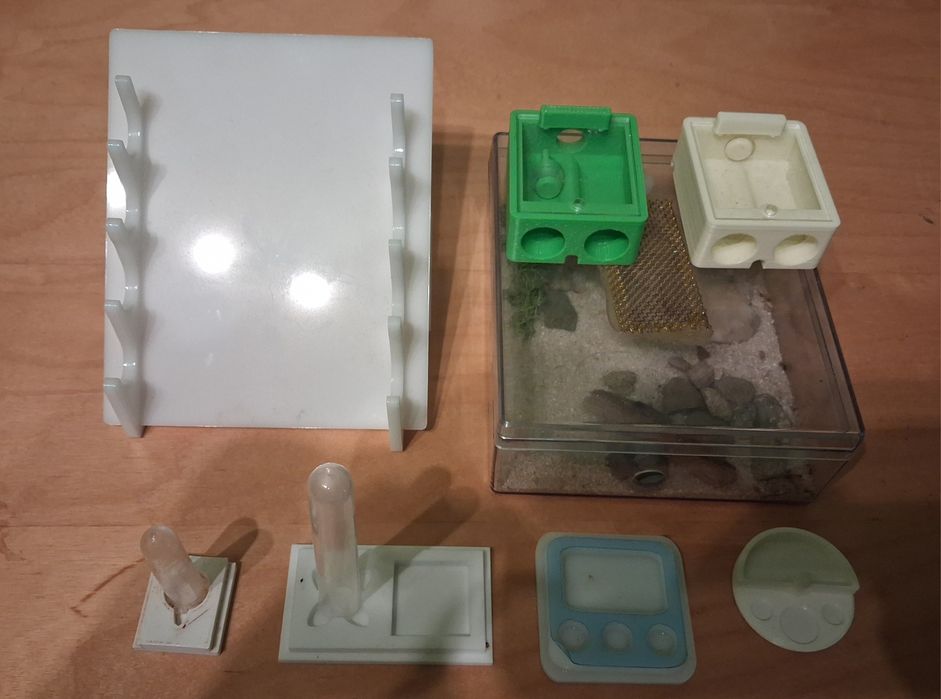 Akcesoria dla mrówek