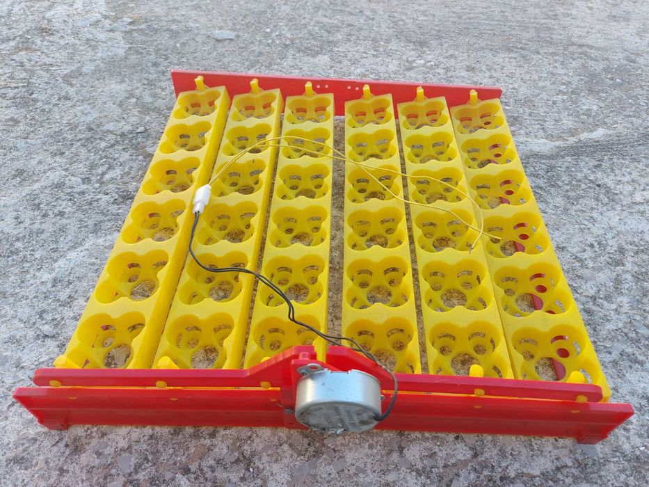 Tabuleiro rotativo para chocadeira