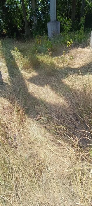 Будівля під магазин