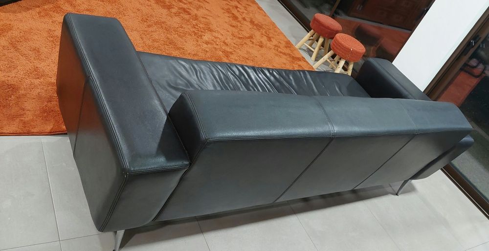 Sofa e almofadas em Pele