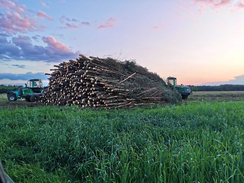 Czyszczenie działek z drzew, krzewów, samosiewów