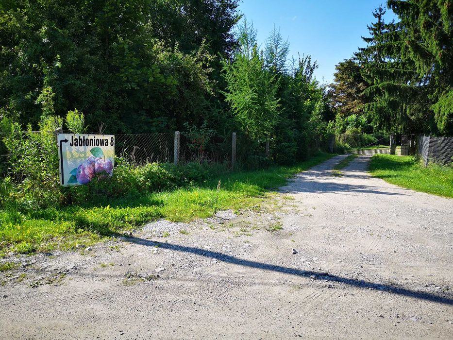 SOKI TŁOCZONE - Stara Niedziałka