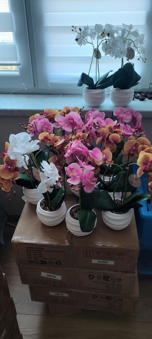 Storczyk imitacja. 6 sztuk