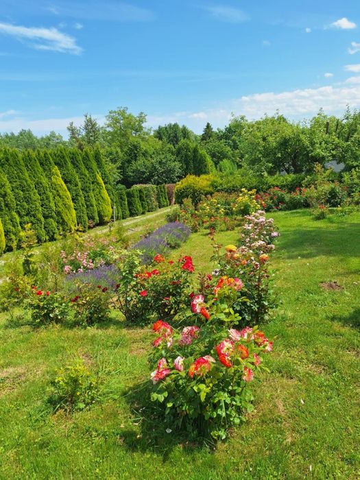 Działka rekreacyjna "ROD" Rajsy Krosno