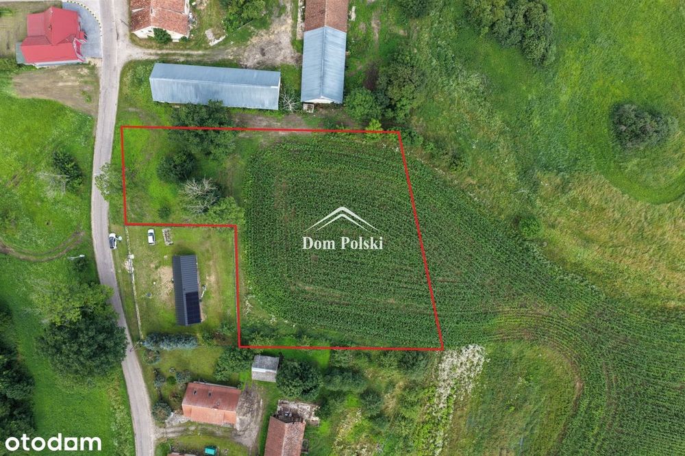 Działka w Puszczy Boreckiej - Mazury - Widok 4