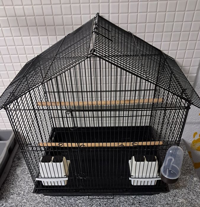 Gaiola como nova
