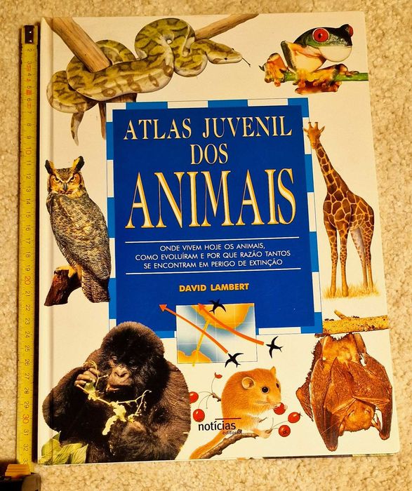 Atlas Juvenil dos animais - David Lambert,  Livro Juvenil, didático